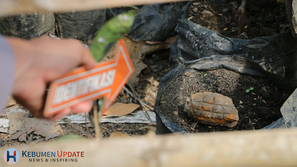Dikira Kelapa Kering, Pencari Kayu Ini Temukan Granat Sisa Perang