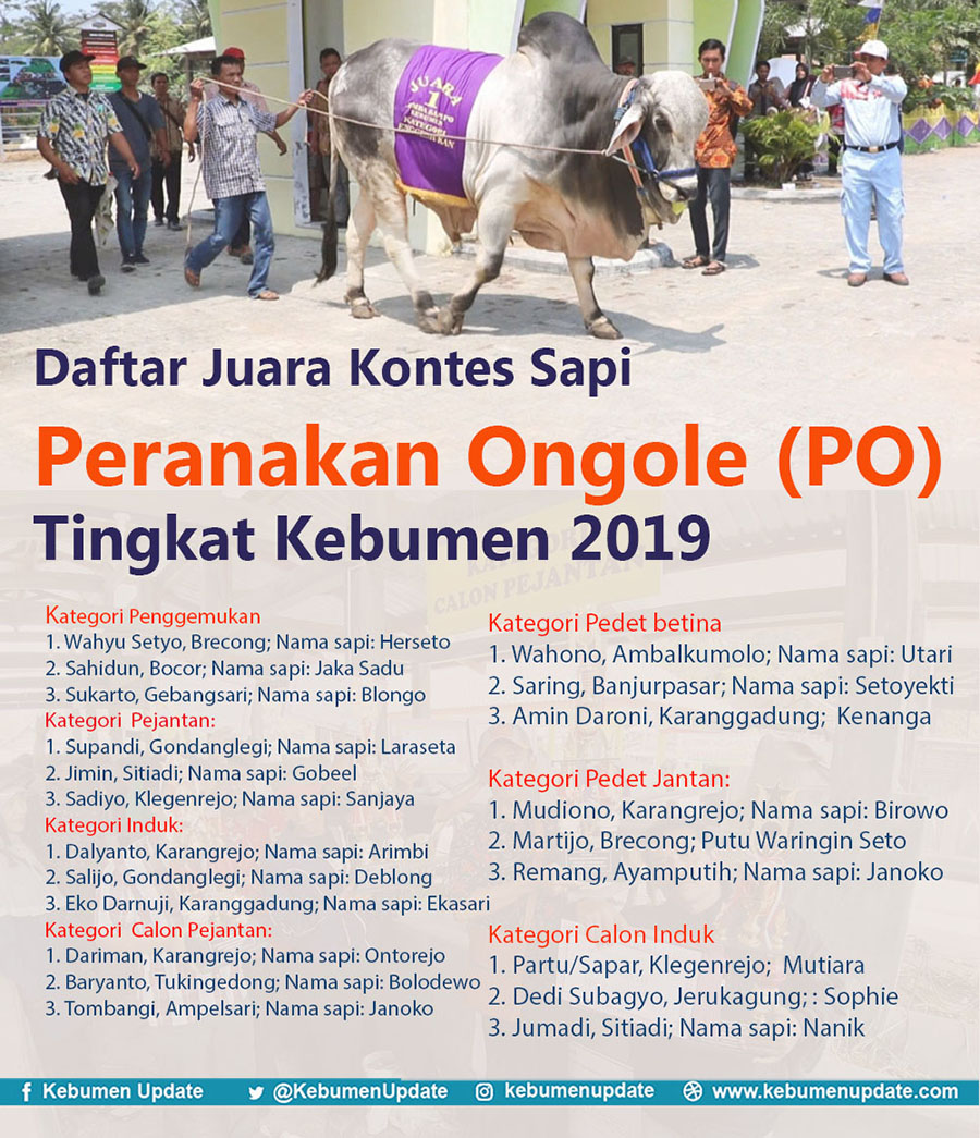 Kontes Sapi Peranakan Ongole, Berikut Daftar Juaranya