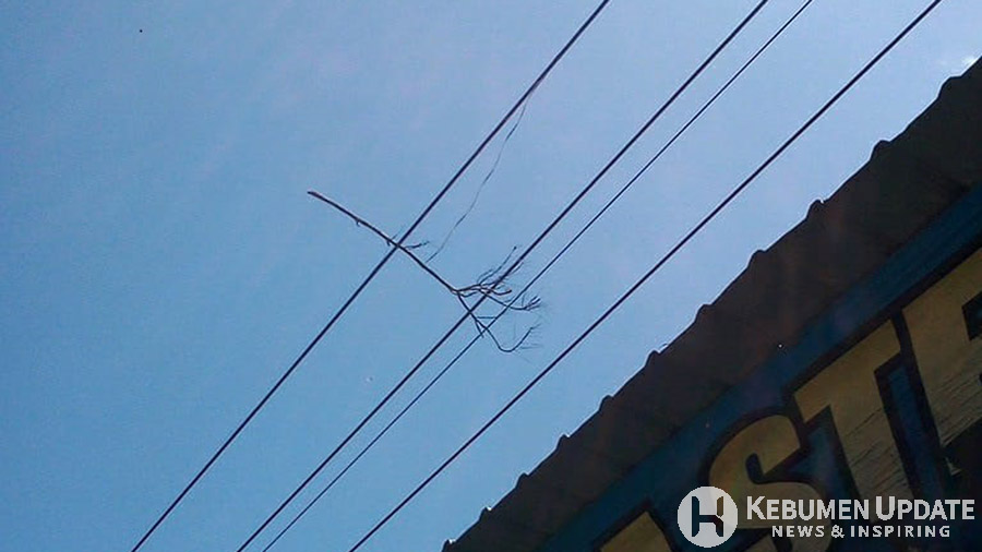 Rating pohon yang menyebabkan listrik padam di sejumlah kecamatan. (Foto: Istimewa)