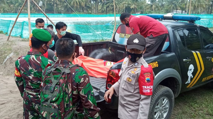 Obat Serangga