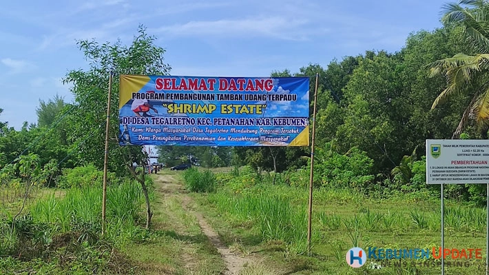 Shrimp Estate