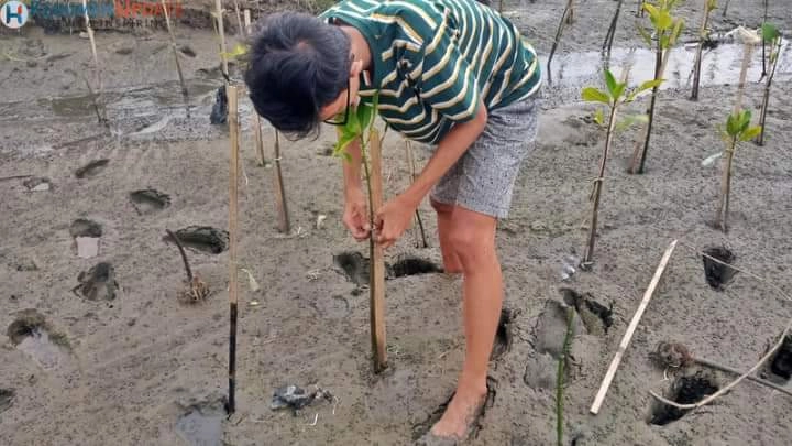 Gaspala Smanda Isi Ngabuburit Dengan Monitoring Tanaman Bakau