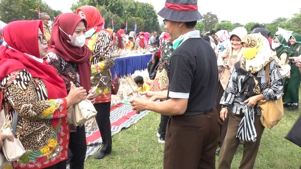 Festival Sate
