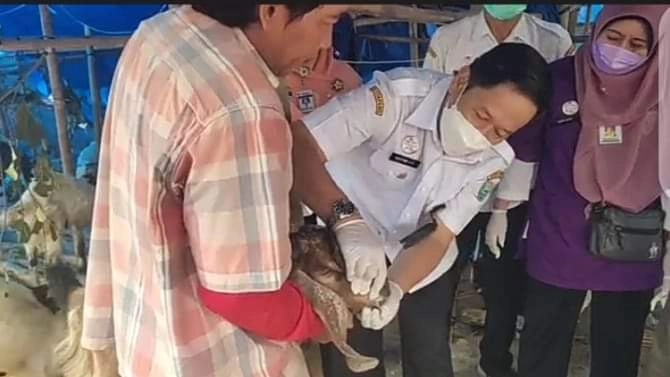 Jelang Idul Adha, Lurah Kebumen Dan Distapang Lakukan Pemeriksaan Hewan Kurban