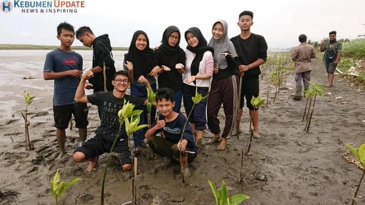 Monitoring Mangrove Di Kaliratu: Dari 1000 Bibit Tersisa 550-600