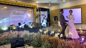 Mexolie Wedding Festival