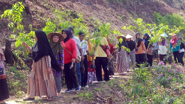 Sembung Selo Asri