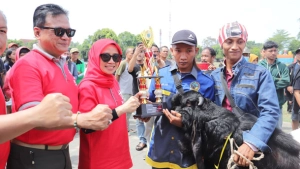 Kambing Peranakan Etawa