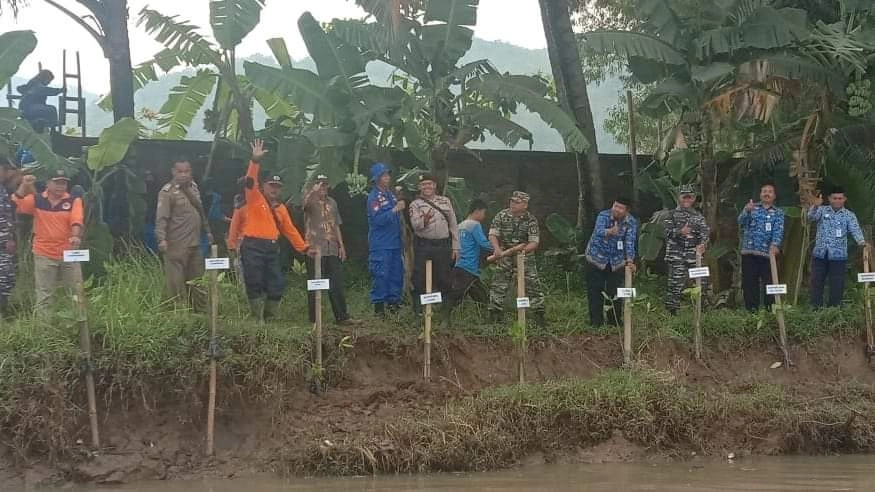 Cegah Abrasi, 500 Pohon Mangrove Ditanam di Bantaran Kali Ijo Ayah
