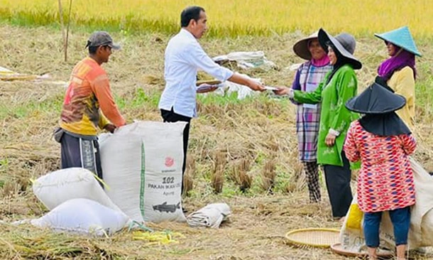 Kunjungan Presiden Jokowi di Kebumen