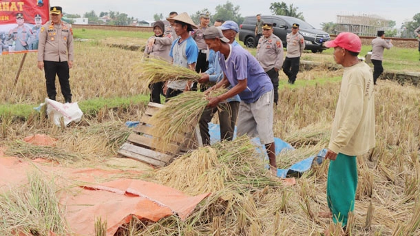 Pupuk Subsidi