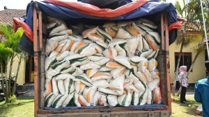 Serahkan Bantuan Pangan, Bupati: Beras Dibeli Dari Petani Lokal