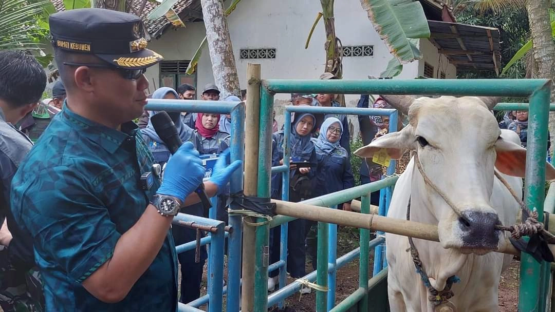 Nomor 1 Kasus LSD di Jateng, Pemkab Kebumen Gencarkan Vaksinasi untuk Sapi