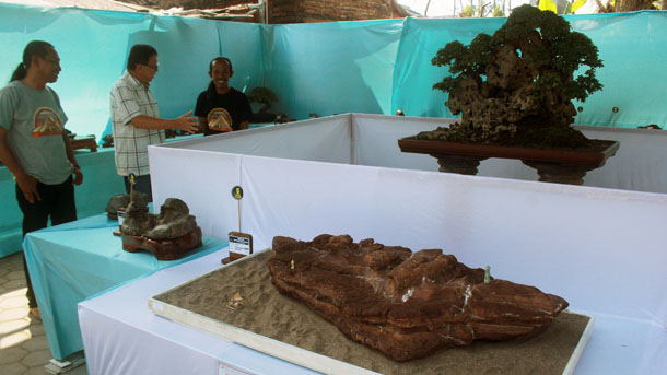 Pameran Batu Suiseki Kebumen 