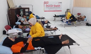 Donor Darah Alfamart