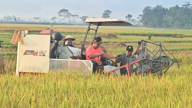 Gabah Petani Kebumen