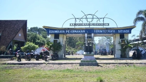 Kampung Sapi PO Kebumen