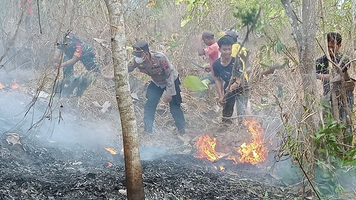 Lahan Terbakar