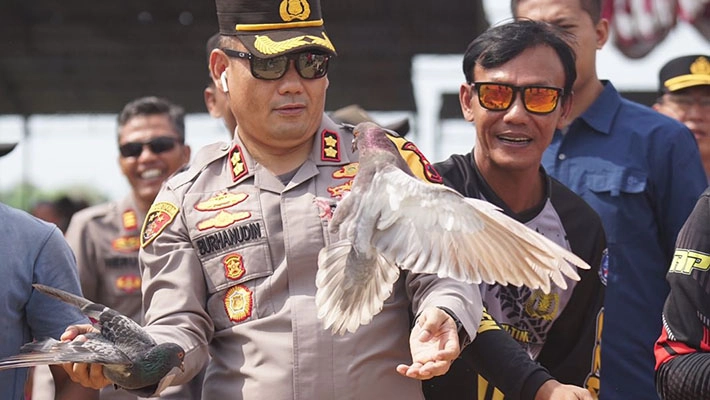 Lomba Merpati Tinggi