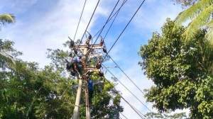 Jadwal pemeliharaan listrik