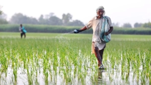 Penyelewengan Pupuk Subsidi