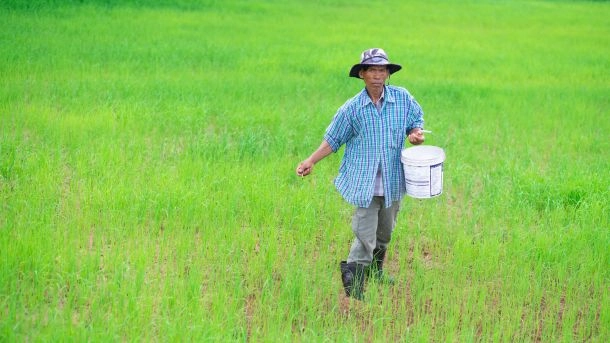 Penyelewengan Pupuk Subsidi