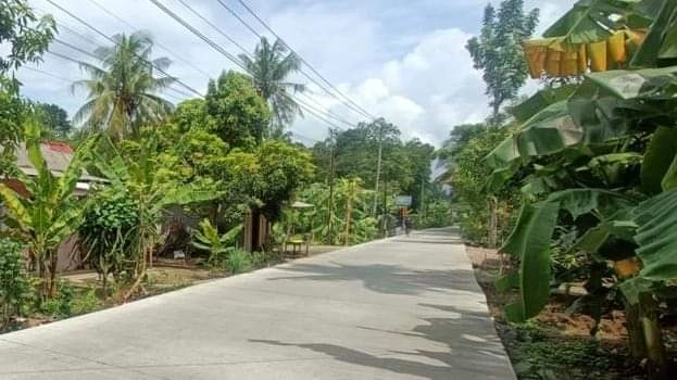 Ruas Jalan Demangsari–Bulurejo Selesai Diperbaiki, Warga Gelar Syukuran
