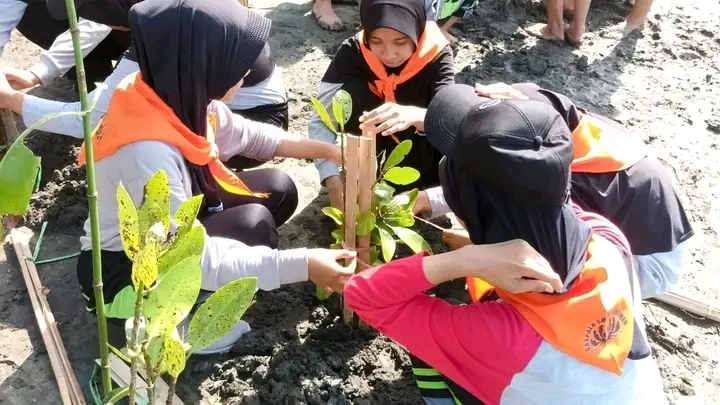 Bertajuk Savoury, Gaspala SMAN 2 Kebumen Tanam Bakau di Kaliratu