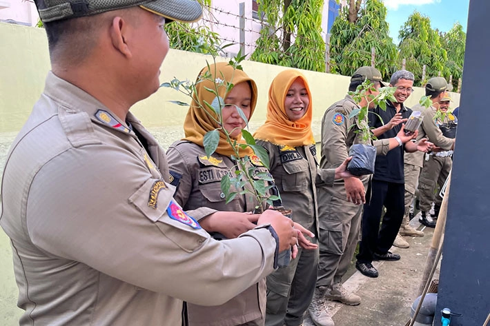 Satpol PP Tanam Cabai