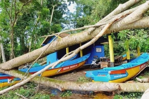 Hujan Angin di Desa Rowo