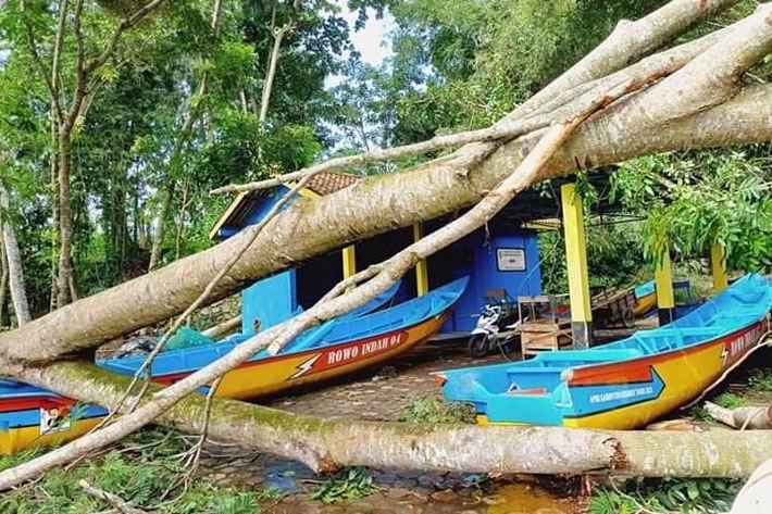 Hujan Angin di Desa Rowo