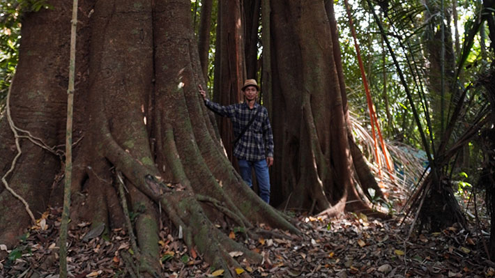Hutan Bulupitu