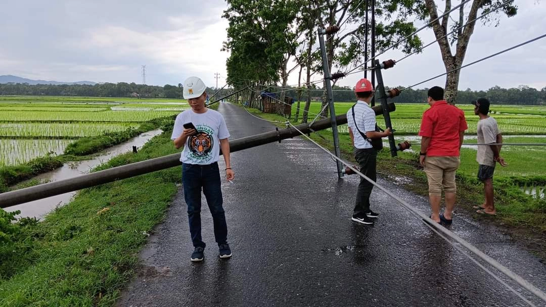 Pohon Tumbang Timpa Jaringan Listrik PLN, Sejumlah Wilayah Padam