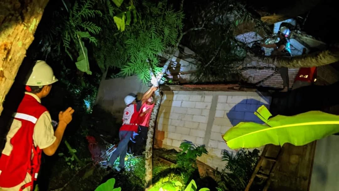 Banyak Pohon Tumbang saat Hujan Angin di Kebumen, Relawan PMI Kebumen Turun Tangan