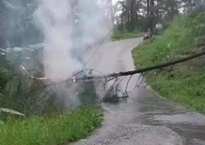 Pohon Pinus Tumbang, Tutup Akses Jalan Kebumen–Sadang