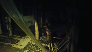 Sapi Bunting Mati Kesetrum Listrik di Desa Surorejan Puring