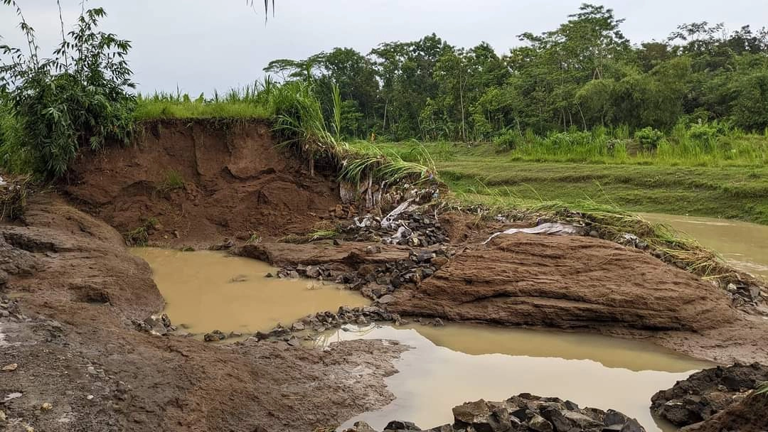 Hujan Deras, Tanggul Kali Kemit di Desa Sidomukti Kecamatan Adimulyo Jebol