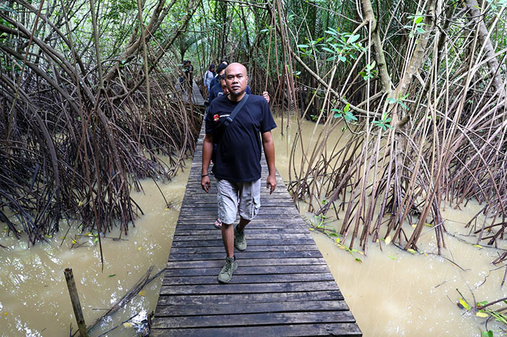 Hutan Mangrove
