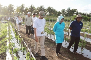 Agromen Lembupurwo: Destinasi Edukasi Alam dan Pertanian Kebumen