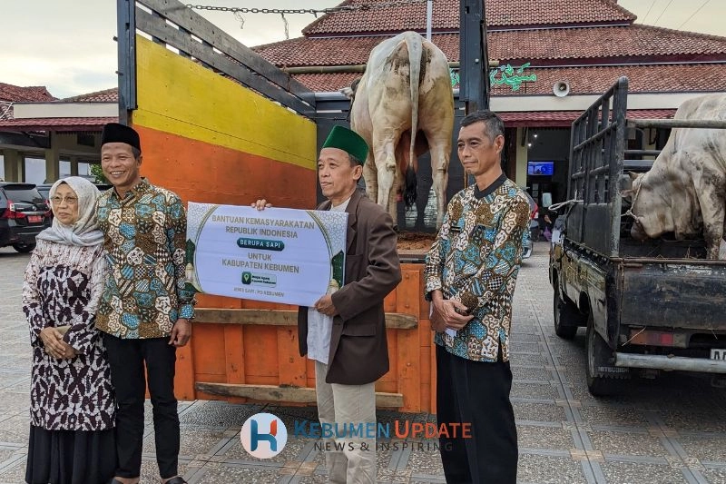 Sapi Kurban dari Presiden Prabowo Berbobot Hampir 1 Ton Tiba di Kebumen