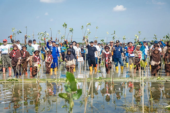 Tanam Mangrove