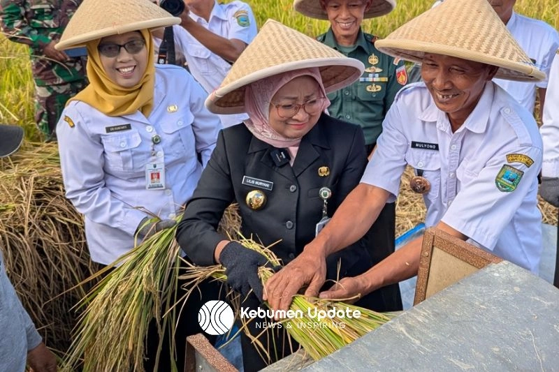 Inovasi Pompa Air: Desa Bocor Sukses Panen Raya MT II