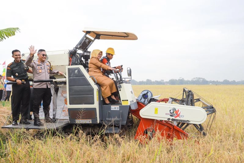 Panen Raya Corporate Farming Dongkrak Produktivitas Padi Kebumen, Petani Diajak Modernisasi