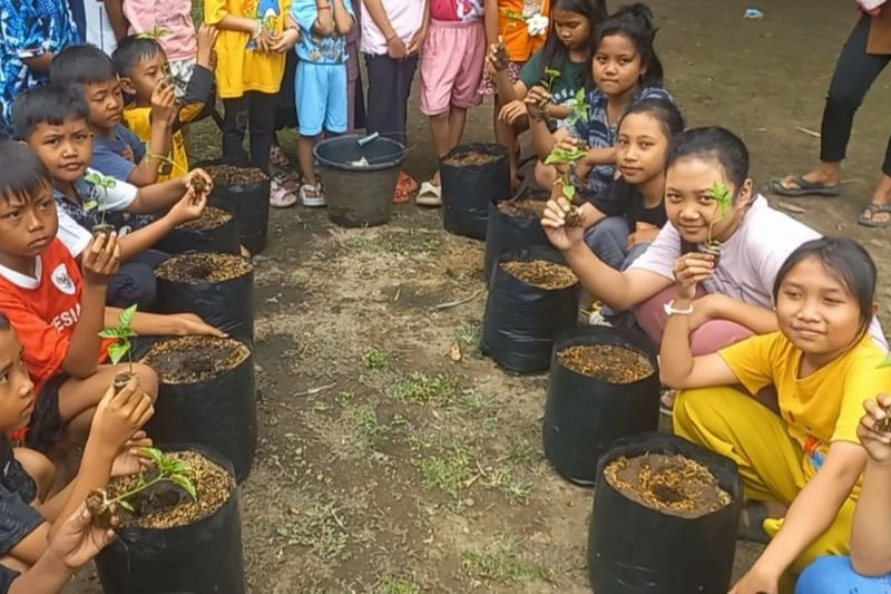 Lomba Unik di Kebumen: Rayakan HUT ke-80 Kemerdekaan RI dengan Menanam Cabai