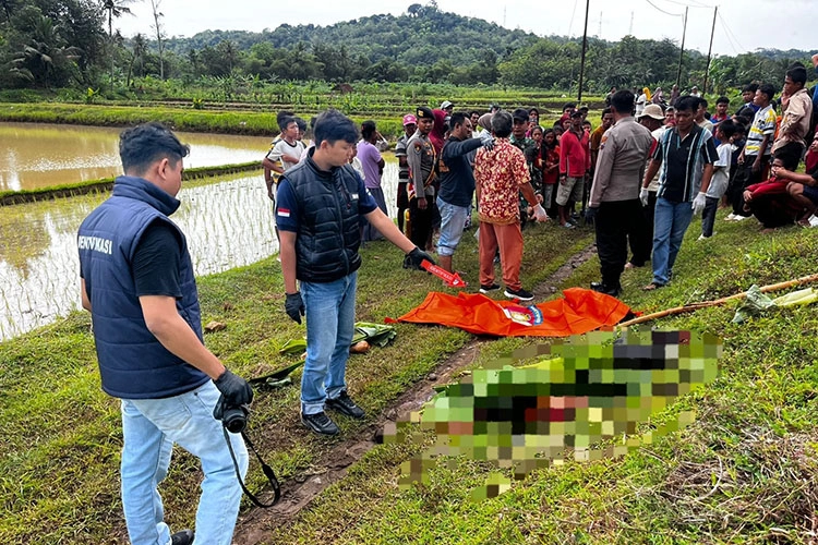 Petani Tertemper Kereta