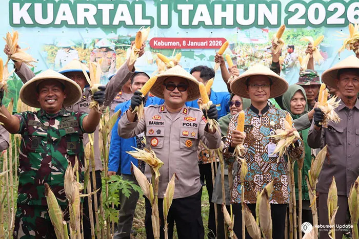 Panen Jagung