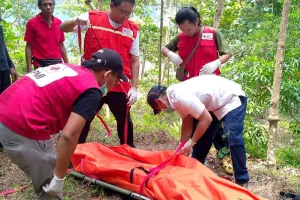 Tragedi Panen Jenitri di Kebumen: Pohon Roboh, Seorang Petani Meninggal Dunia