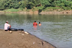 Tim SAR Evakuasi Santri yang Tenggelam di Sungai Luk Ulo dalam Kondisi Meninggal Dunia