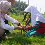 Perkuat Pesisir Puring, PMI Kebumen Libatkan Pelajar dalam Aksi Penanaman Bakau