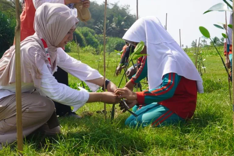 Perkuat Pesisir Puring, PMI Kebumen Libatkan Pelajar dalam Aksi Penanaman Bakau